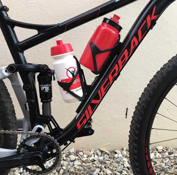 Silverback Sido 2017