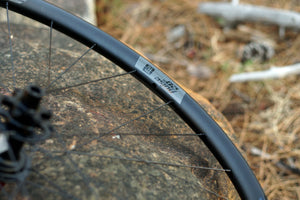 Pulse 28 Alloy Wheelset 29"