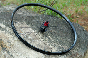 Pulse 28 Alloy Wheelset 29"